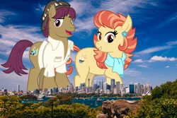 Size: 2048x1365 | Tagged: safe, artist:cheezedoodle96, derpibooru import, edit, editor:jaredking779, aunt holiday, snap shutter, earth pony, pony, australia, brother and sister, clothes, duo, female, giant pony, giantess, hat, highrise ponies, image, irl, jpeg, macro, male, mare, photo, ponies in real life, scarf, shirt, siblings, stallion, story included, sydney