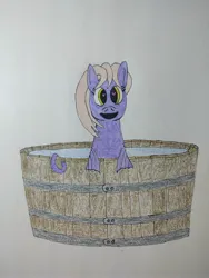 Size: 3000x4000 | Tagged: safe, artist:captain conundrum, ponerpics import, oc, unnamed oc, unofficial characters only, sea pony, image, jpeg, ponerpics community collab 2023, seapony (g1), simple background, solo, traditional art, wooden bucket