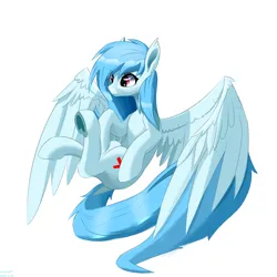 Size: 3000x3000 | Tagged: safe, artist:rainenight, derpibooru import, oc, oc:sh snow, unofficial characters only, pegasus, image, png, simple background, solo, white background, wings