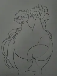Size: 1944x2592 | Tagged: suggestive, derpibooru import, pinkie pie, rainbow dash, earth pony, hybrid, pegasus, pony, applebucking thighs, belly, big belly, butt, bww, conjoined, duo, duo female, fat, female, fusion, fusion:pinkie pie, fusion:pinkiedash, fusion:rainbow dash, huge belly, huge butt, hyper, hyper belly, hyper butt, image, impossibly large belly, impossibly large butt, jpeg, large butt, lesbian, multiple heads, obese, piggy pie, pinkiedash, pudgy pie, rainblob dash, shipping, the ass was fat, thighs, thunder thighs, two heads, we have become one, wide hips