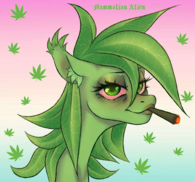 Size: 2328x2175 | Tagged: safe, artist:mammalian_alien, derpibooru import, oc, oc:stoney poney, pony, bloodshot eyes, blunt, drug use, drugs, gradient background, high, image, joint, marijuana, png, solo, stoned