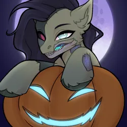 Size: 2048x2048 | Tagged: safe, artist:enderbee, derpibooru import, oc, earth pony, pony, undead, zombie, zombie pony, commission, halloween, happy, holiday, image, moon, png, pumpkin, smiling, solo, ych result