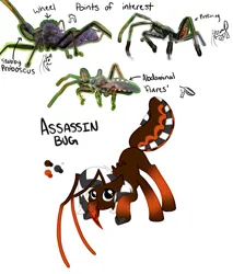 Size: 1598x1878 | Tagged: semi-grimdark, artist:wtfponytime, derpibooru import, bug pony, insect, antennae, ass up, assassin bug, blood, extra legs, hoof claws, image, insect abdomen, insect pony, kissing bug, notes, photos included, png, proboscis, simple background, six legs, solo, weirdbox, wheel bug, white background