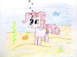 Size: 4032x3016 | Tagged: safe, artist:jakusi, ponerpics import, pinkie pie, earth pony, fish, pony, /pnk/, bubble, diving, female, holding breath, image, jpeg, mare, pinktober, puffy cheeks, sand, seabed, seaweed, solo, traditional art, underwater, water