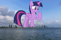 Size: 1600x1066 | Tagged: safe, artist:andoanimalia, derpibooru import, edit, editor:jaredking779, twilight sparkle, twilight sparkle (alicorn), alicorn, pony, female, folded wings, giant pony, giantess, highrise ponies, image, india, irl, jpeg, looking down, macro, mare, mumbai, photo, ponies in real life, raised hoof, smiling, solo, story included, wings