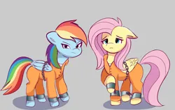 Size: 2048x1298 | Tagged: safe, artist:nari_artsz, derpibooru import, fluttershy, rainbow dash, bound wings, chained, chains, clothes, commissioner:rainbowdash69, cuffed, grumpy, image, never doubt rainbowdash69's involvement, png, prison outfit, prisoner ft, prisoner rd, sad, shackles, wings