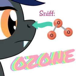 Size: 1000x1000 | Tagged: safe, artist:mightyshockwave, derpibooru import, oc, oc:midnight hour, unofficial characters only, bat pony, tails of equestria, bat pony oc, bat wings, image, meme, molecule, ozone, png, shitposting, simple background, smell, sniffing, solo, white background, wings
