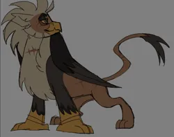 Size: 713x565 | Tagged: safe, derpibooru import, oc, big cat, bird, eagle, gryphon, lion, bulky, chipped beak, dark arms, griffon oc, grim, grin, image, mohawk, muscles, neck fluff, png, reference sheet, relaxed, scar, slicked back, smiling, tan body