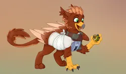 Size: 1630x964 | Tagged: safe, artist:rutkotka, derpibooru import, oc, oc:pavlos, unofficial characters only, gryphon, broken bone, broken wing, cast, chestnut, clothes, colored wings, eared griffon, gradient background, griffon oc, happy, image, injured, one wing out, png, simple background, sling, sweater, wing fluff, wings