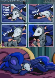 Size: 2171x3070 | Tagged: safe, artist:mysticalpha, derpibooru import, princess luna, tiberius, opossum, pony, comic:day in the lives of the royal sisters, image, png