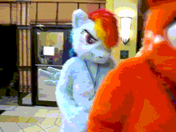 Size: 640x480 | Tagged: safe, artist:spainfischer, derpibooru import, applejack, rainbow dash, anthro, earth pony, human, pegasus, pony, 2011, animated, bouncing, convention, fursuit, g4, gif, hoof over mouth, image, irl, irl human, jumping, lanyard, megaplex, photo, ponysuit, smiling, smirk, solo, spinning, spread wings, wings