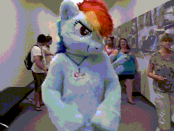 Size: 640x480 | Tagged: safe, artist:spainfischer, derpibooru import, applejack, rainbow dash, anthro, earth pony, human, pegasus, pony, 2011, animated, anthrocon, fursuit, gif, image, irl, irl human, lanyard, looking at you, photo, ponysuit, pose, punch, rearing, shadow boxing, smiling, smirk, solo, spread wings, wings