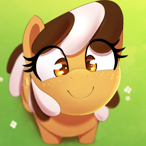 Size: 1000x1000 | Tagged: safe, artist:thebatfang, ponerpics import, oc, oc:s'mare, ponified, earth pony, food pony, original species, pony, blurry background, boopable, cute, flower, food, grass, high angle, image, looking at you, looking up, looking up at you, png, s'mores pony, smiling, solo