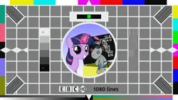 Size: 1024x576 | Tagged: safe, artist:killagouge, derpibooru import, smarty pants, twilight sparkle, pony, female, filly, filly twilight sparkle, image, png, test card, test card f, younger