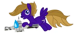 Size: 1103x529 | Tagged: safe, artist:hurricanehunter03, derpibooru import, oc, oc:wing front, pegasus, anime sweat, blue eyes, brown mane, brown tail, capitol building, hurricane, image, pegasus oc, png, purple fur, simple background, solo, tail, wings