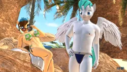 Size: 1920x1080 | Tagged: suggestive, artist:anthroponiessfm, derpibooru import, oc, oc:revy, oc:sky fang, anthro, pegasus, 3d, abs, anthro oc, beach, bikini, clothes, female, image, jockstrap, looking at each other, looking at someone, male, pegasus oc, png, sexy, source filmmaker, speedo, sunglasses, swimsuit, teasing, wings