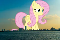 Size: 1523x1017 | Tagged: safe, artist:andoanimalia, derpibooru import, edit, editor:jaredking779, fluttershy, pegasus, pony, female, folded wings, giant pony, giantess, hanoi, highrise ponies, image, irl, jpeg, macro, mare, photo, ponies in real life, smiling, solo, story included, vietnam, wings