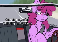 Size: 1579x1152 | Tagged: safe, artist:reddthebat, derpibooru import, berry punch, berryshine, earth pony, pony, driving, eyebrows, eyebrows visible through hair, female, image, implied drunk, lidded eyes, mare, png, signature, smiling, solo, text