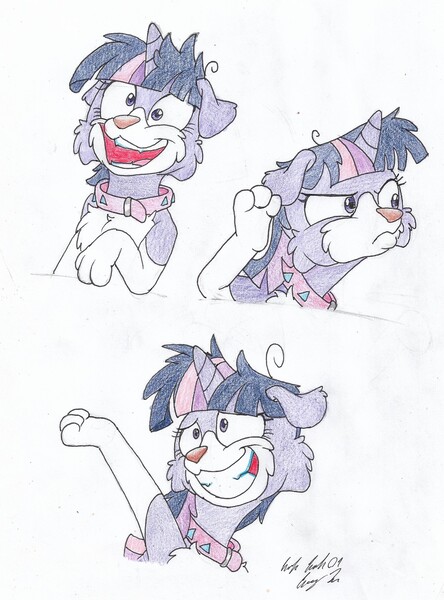 Size: 1502x2029 | Tagged: safe, artist:silversimba01, derpibooru import, twilight sparkle, dog, unicorn, border collie, collar, facial expressions, female, image, jpeg, littlest pet shop, parody, solo, species swap, twilight barkle, twilight dog, twilight snapple, unicorn twilight, zoe trent