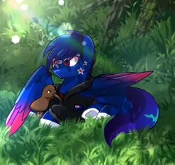 Size: 960x905 | Tagged: safe, artist:diniarvegafinahar, derpibooru import, ponified, bird, kiwi, pegasus, pony, clothes, colored wings, duo, gradient wings, grass, image, jacket, lying down, male, nation ponies, new zealand, png, prone, stallion, wings