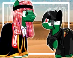 Size: 640x509 | Tagged: safe, artist:diniarvegafinahar, derpibooru import, ponified, earth pony, pegasus, pony, cloak, clothes, colored wings, desert, dress, duo, female, image, keffiyeh, looking at each other, looking at someone, male, mare, multicolored wings, nation ponies, palestine, png, saudi arabia, stallion, wings