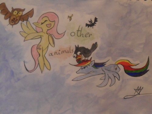 Size: 500x375 | Tagged: safe, artist:mylittleawesome, derpibooru import, fluttershy, rainbow dash, bat, bird, insect, owl, pegasus, pony, toucan, wasp, duo, eyes closed, find a pet, flying, image, jpeg, simple background, singing, sogreatandpowerful, traditional art