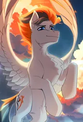 Size: 2480x3600 | Tagged: safe, artist:fenwaru, derpibooru import, oc, oc:sukko, unofficial characters only, pegasus, pony, cloud, commission, image, looking at you, male, png, solo, spread wings, stallion, sunset, wings, ych result