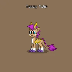 Size: 384x382 | Tagged: safe, derpibooru import, oc, oc:tansy tulip, unofficial characters only, dracony, dragon, hybrid, pony, pony town, brown background, claws, do not steal, female, horn, horns, hybrid oc, image, offspring, original character do not steal, parent:sunny starscout, parent:tumble, png, purple mane, purple tail, simple background, solo, spikes, tail, wings