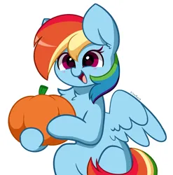 Size: 3384x3421 | Tagged: safe, artist:kittyrosie, derpibooru import, rainbow dash, pegasus, pony, semi-anthro, chest fluff, commission, cute, dashabetes, female, image, mare, open mouth, png, pumpkin, simple background, white background, ych example, your character here