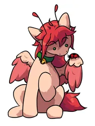 Size: 1414x1866 | Tagged: safe, artist:ju4111a, derpibooru import, oc, oc:chis, unofficial characters only, insect, ladybug, pegasus, pony, bell, bell collar, chest fluff, collar, colored wings, female, image, jpeg, mare, partially open wings, pegasus oc, pegasus wings, simple background, sitting, solo, two toned wings, white background, wings