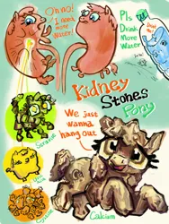 Size: 6000x8000 | Tagged: safe, artist:ja0822ck, derpibooru import, oc, ponified, unofficial characters only, pony, calcium, cystine, image, kidney, kidney stone, png, struvite, uric acid, water