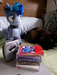 Size: 1536x2048 | Tagged: safe, derpibooru import, oc, oc:proffy floyd, unofficial characters only, cat, pony, cassette player, collar, compact cassette, cool, cute, earbuds, image, irl, jpeg, male, photo, plushie, sony, stallion, toy, walkman