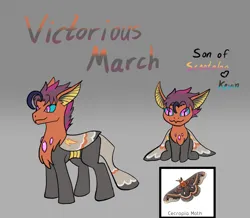 Size: 1035x902 | Tagged: safe, artist:jolliapplegirl, derpibooru import, oc, oc:victorious march, changedling, changeling, hybrid, pony, image, interspecies offspring, male, next generation, offspring, parent:kevin, parent:scootaloo, png