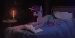 Size: 2672x1379 | Tagged: safe, artist:kinax, derpibooru import, spike, twilight sparkle, dragon, pony, unicorn, apple, bed, book, bookshelf, candle, crepuscular rays, digital art, duo, female, food, g4, high res, horn, image, lying down, male, mare, night, pillow, png, purple eyes, reading, signature, sleeping, smiling, table