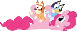 Size: 1403x570 | Tagged: safe, artist:porygon2z, derpibooru import, pinkie pie, dog, earth pony, pony, australian cattle dog, bingo heeler, bluey, bluey heeler, crossover, female, g4, image, mare, one eye closed, playful, png, simple background, transparent background, trio, trio female