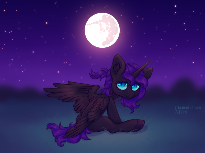 Size: 4444x3333 | Tagged: safe, artist:mammalian_alien, derpibooru import, oc, oc:nyx, alicorn, pony, female, filly, foal, grass, image, looking at you, mare in the moon, moon, png, solo, stars