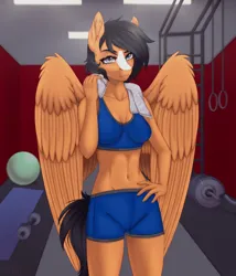 Size: 2400x2800 | Tagged: safe, artist:enderbee, derpibooru import, dumbbell, oc, anthro, pegasus, barbell, black hair, clothes, gray eyes, image, lamp, png, rug, scar, shorts, solo, sports bra, sports outfit, sports shorts, sweat, sweatdrop, sweatdrops, towel, weights, wings