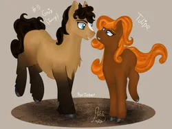 Size: 4000x3000 | Tagged: safe, artist:loopina, derpibooru import, oc, oc:onyx, oc:tulipe, earth pony, duo, female, image, male, png, poctober, siblings, simple background, transparent background, twins