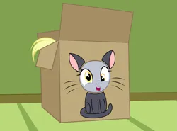 Size: 2573x1907 | Tagged: safe, artist:badumsquish, derpibooru import, derpy hooves, cat, pegasus, pony, behaving like a cat, box, derpibooru exclusive, happy, hole, image, looking at you, open mouth, open smile, peeking, png, pony in a box, show accurate, smiling, solo, whiskers