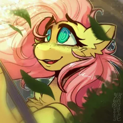 Size: 3500x3500 | Tagged: safe, artist:yumkandie, derpibooru import, fluttershy, pegasus, pony, cute, cute little fangs, fangs, freckles, guitar, high res, image, leaves, musical instrument, open mouth, open smile, png, smiling, solo, swirly eyes, wind, windswept mane, wingding eyes