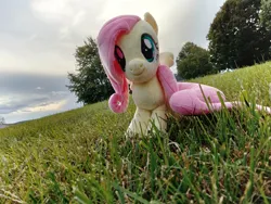 Size: 4096x3072 | Tagged: safe, artist:natsnaps, derpibooru import, fluttershy, pegasus, cloud, cloudy, grass, grass field, image, irl, outdoors, photo, plushie, png, sky, solo, tree