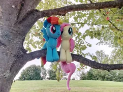 Size: 3687x2765 | Tagged: safe, artist:natsnaps, derpibooru import, fluttershy, rainbow dash, pegasus, duo, female, flutterdash, image, irl, lesbian, outdoors, photo, plushie, png, shipping, tree