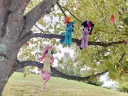 Size: 4096x3072 | Tagged: safe, artist:natsnaps, derpibooru import, fluttershy, rainbow dash, twilight sparkle, alicorn, pegasus, image, irl, outdoors, photo, plushie, png, tree, trio