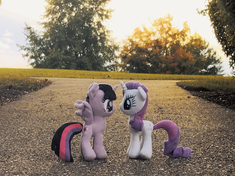 Size: 3534x2650 | Tagged: safe, artist:natsnaps, derpibooru import, rarity, twilight sparkle, bush, duo, female, grass, horn, horns are touching, image, irl, lesbian, outdoors, path, photo, plushie, png, rarilight, shipping, sky, sunset, tree