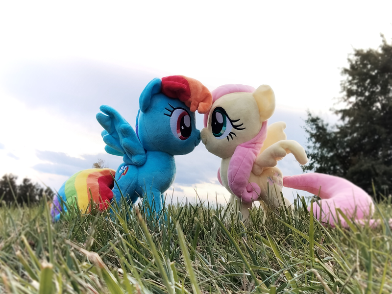 Size: 4096x3072 | Tagged: safe, artist:natsnaps, derpibooru import, fluttershy, rainbow dash, pegasus, cloud, cloudy, female, flutterdash, grass, grass field, image, irl, kiss on the lips, kissing, lesbian, outdoors, photo, plushie, png, shipping, sky, tree