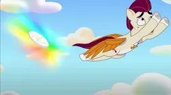 Size: 2731x1533 | Tagged: safe, derpibooru import, screencap, rocky riff, pegasus, pony, g5, my little pony: tell your tale, spoiler:g5, spoiler:my little pony: tell your tale, spoiler:tyts01e18, beach, flying, freakout, image, jpeg, male, on your cutie marks, open mouth, peril, scared, shrunken pupils, solo, sports, spread wings, stallion, volleyball, wings