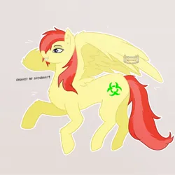 Size: 1600x1600 | Tagged: safe, derpibooru import, oc, oc:jay mihay, pegasus, pony, chest fluff, cute, cutie mark, drawing, fanart, fluffy, image, jpeg, male, simple background, smiling, smirk, solo, spread wings, watermark, wings