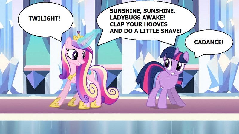 Size: 1280x720 | Tagged: safe, derpibooru import, edit, edited screencap, editor:incredibubbleirishguy, screencap, princess cadance, twilight sparkle, alicorn, unicorn, the crystal empire, handshake, image, png, quote, sisters-in-law, speech bubble, sunshine sunshine, unicorn twilight