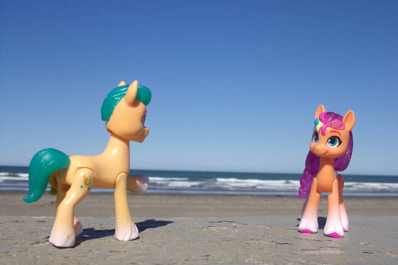 Size: 1095x730 | Tagged: safe, artist:dingopatagonico, derpibooru import, hitch trailblazer, sunny starscout, earth pony, g5, my little pony: a new generation, argentina, beach, butt, image, jpeg, photo, plot, toy