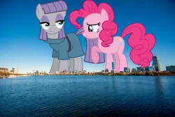 Size: 1600x1067 | Tagged: safe, artist:cencerberon, artist:dashiesparkle, derpibooru import, edit, editor:jaredking779, maud pie, pinkie pie, earth pony, pony, boston, duo, female, giant pony, giantess, highrise ponies, image, irl, jpeg, macro, mare, massachusetts, photo, pie sisters, ponies in real life, siblings, sisters, smiling, story included, when she smiles